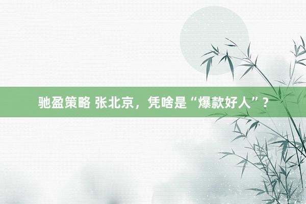 驰盈策略 张北京，凭啥是“爆款好人”？