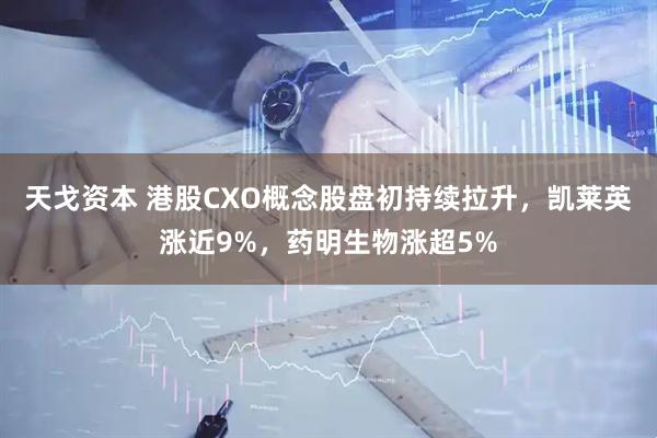 天戈资本 港股CXO概念股盘初持续拉升，凯莱英涨近9%，药明生物涨超5%