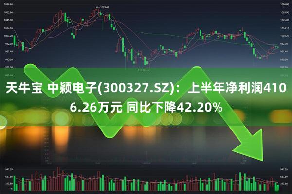 天牛宝 中颖电子(300327.SZ)：上半年净利润4106.26万元 同比下降42.20%